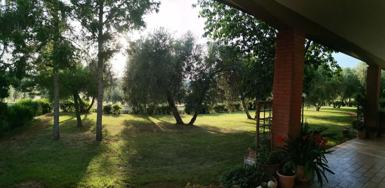Il Punto Verde SantʼAntonio Zewnętrze zdjęcie