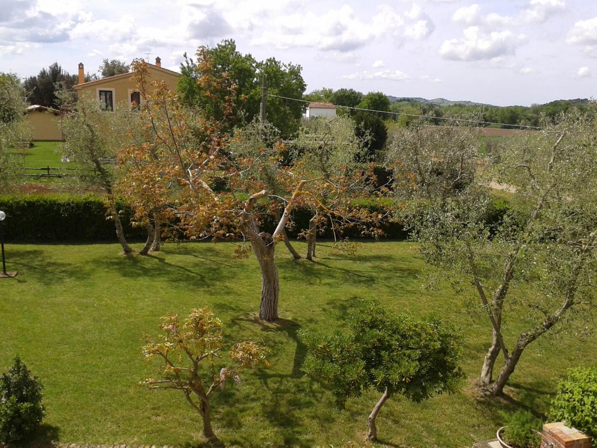 Il Punto Verde SantʼAntonio Zewnętrze zdjęcie