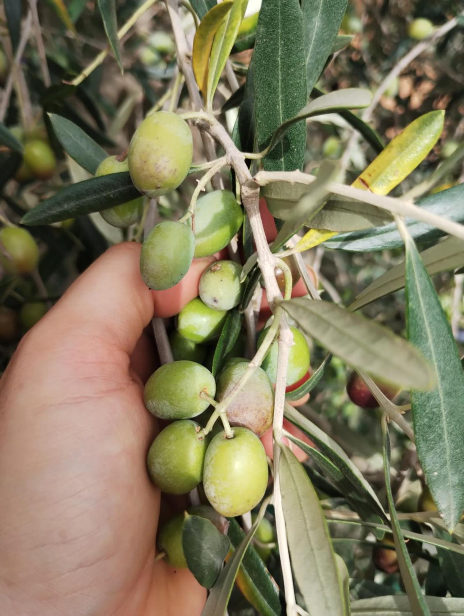 Il Punto Verde SantʼAntonio Zewnętrze zdjęcie