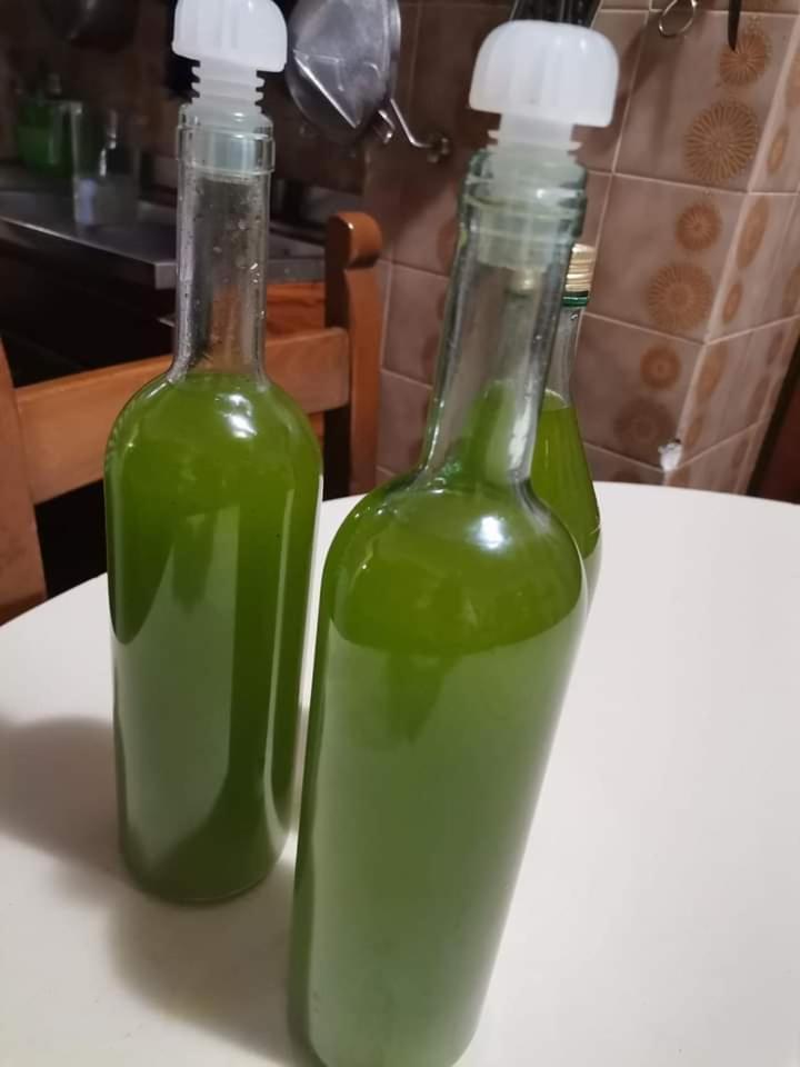 Il Punto Verde SantʼAntonio Zewnętrze zdjęcie