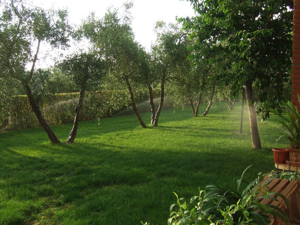 Il Punto Verde SantʼAntonio Zewnętrze zdjęcie