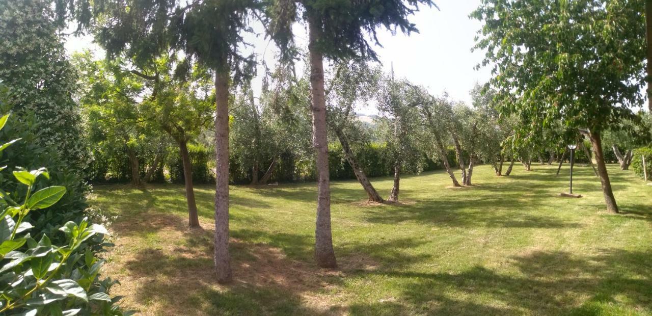 Il Punto Verde SantʼAntonio Zewnętrze zdjęcie